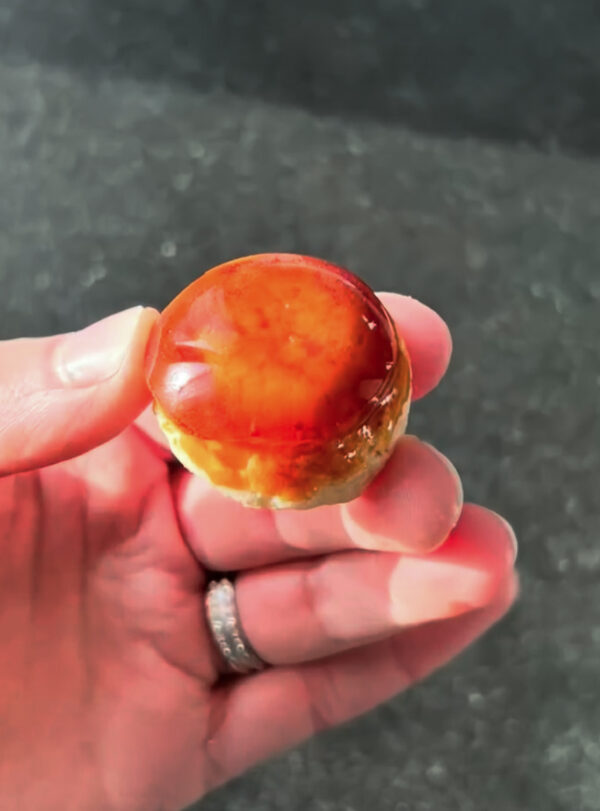 Saint-Honoré Vanille Caramel